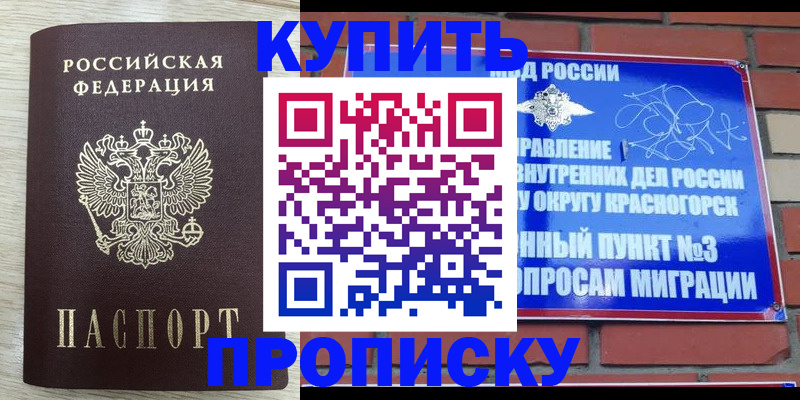 прописка гарантия в Белгородской области